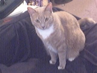 frogger93301 profile photo