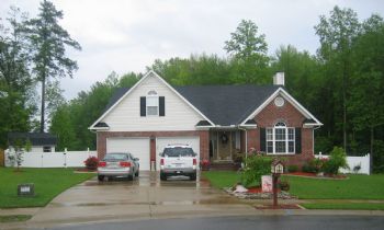 teddyfan profile photo