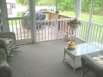 teddyfan profile photo