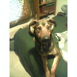 dharmabum77 profile photo