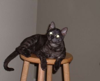 Cindy23 profile photo