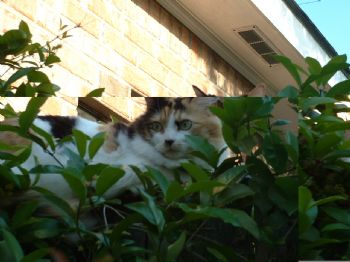 Cindy23 profile photo