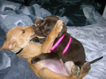 shasha.x profile photo