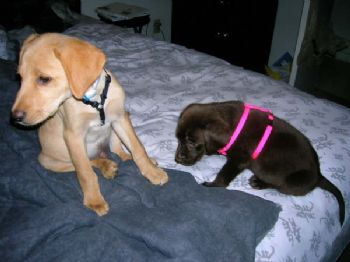 shasha.x profile photo