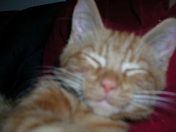 TREE3167 profile photo