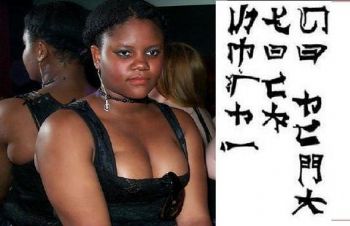 meer-kat profile photo