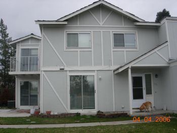 Ghidossih profile photo