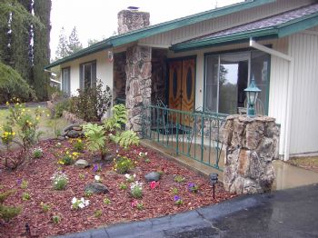 damarks profile photo