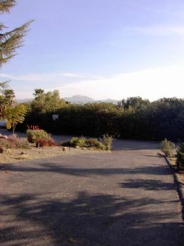 damarks profile photo