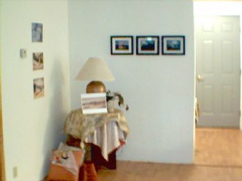 fiddlegirl23 profile photo