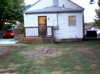 fiddlegirl23 profile photo