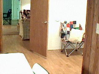 fiddlegirl23 profile photo