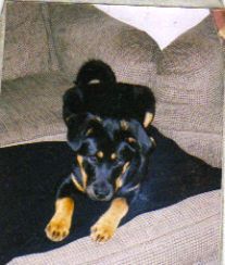 satch2006 profile photo