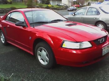 tomasio profile photo