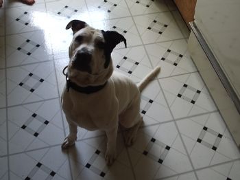 Tatum713 profile photo