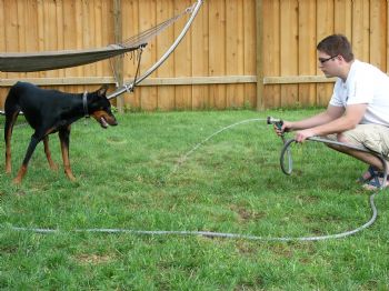 SmoothSpaz profile photo