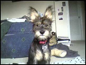 CourtneyC777 profile photo