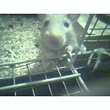 CourtneyC777 profile photo