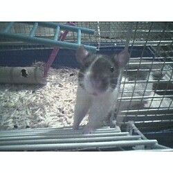 CourtneyC777 profile photo