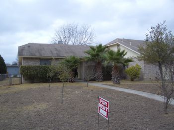 ccrazycat profile photo