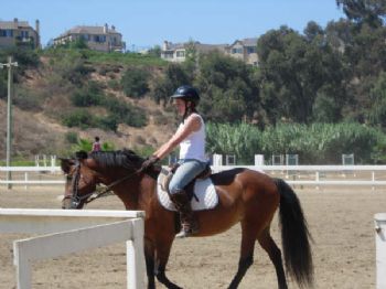 megibson profile photo