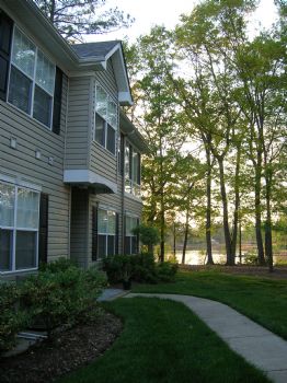 manda4 profile photo