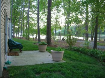 manda4 profile photo