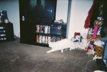 rozemyst profile photo
