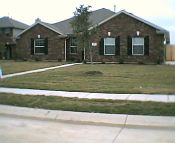 darmena profile photo