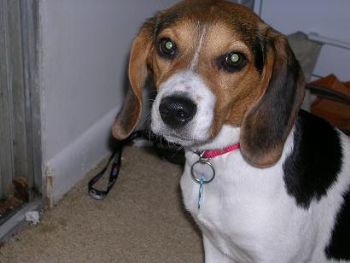 rmorris profile photo
