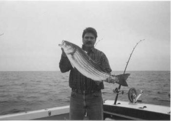 fishnnut profile photo