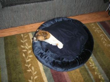 vanny85 profile photo