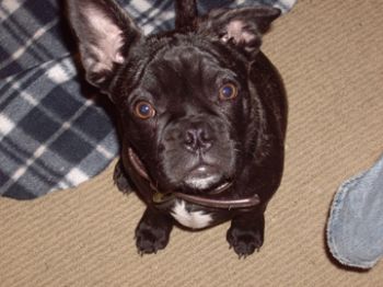 toobs858 profile photo