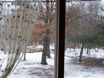 robwedl profile photo