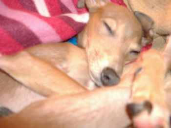 Tanessa profile photo