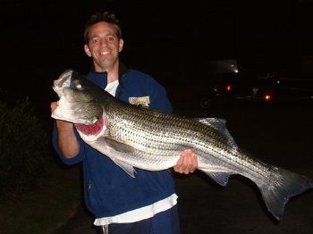 TeacherRisd profile photo