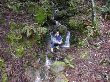 bobzone profile photo