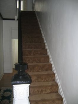 moestar profile photo