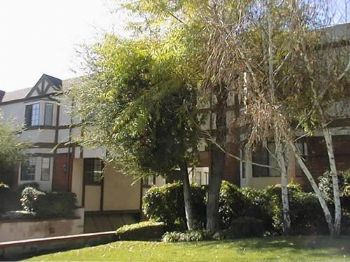 rvasquez profile photo