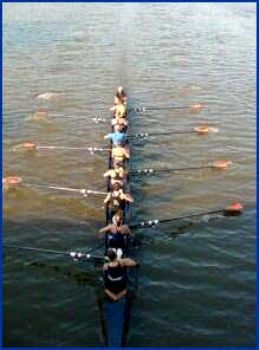 taniap profile photo