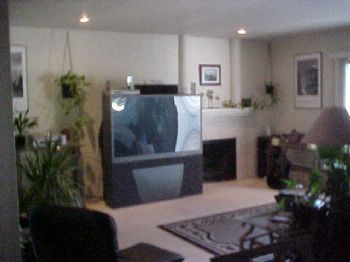 dhubbard profile photo