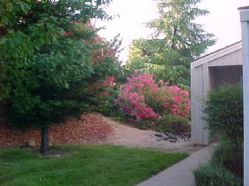 dhubbard profile photo