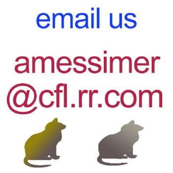 messimers profile photo