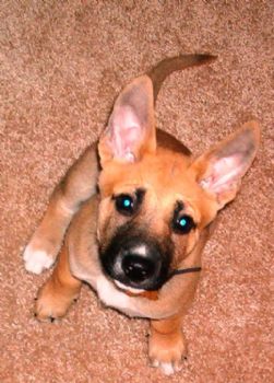 laura125 profile photo