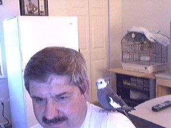 tweetermpi profile photo