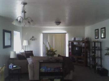 golightly profile photo