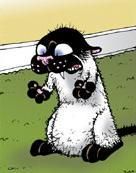 sammagedamma profile photo