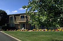 horinac profile photo