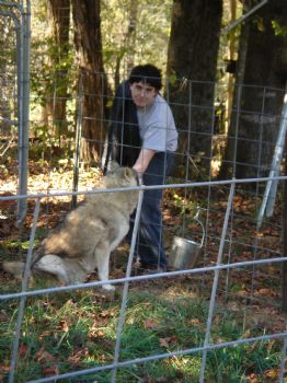 biochrome profile photo