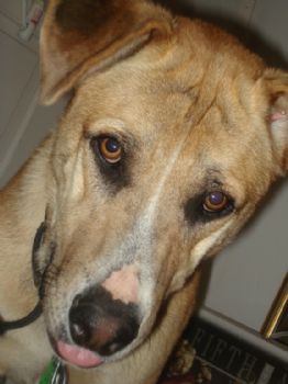 childotnight profile photo